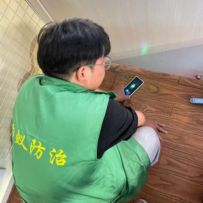 海宁白蚁防治检测服务