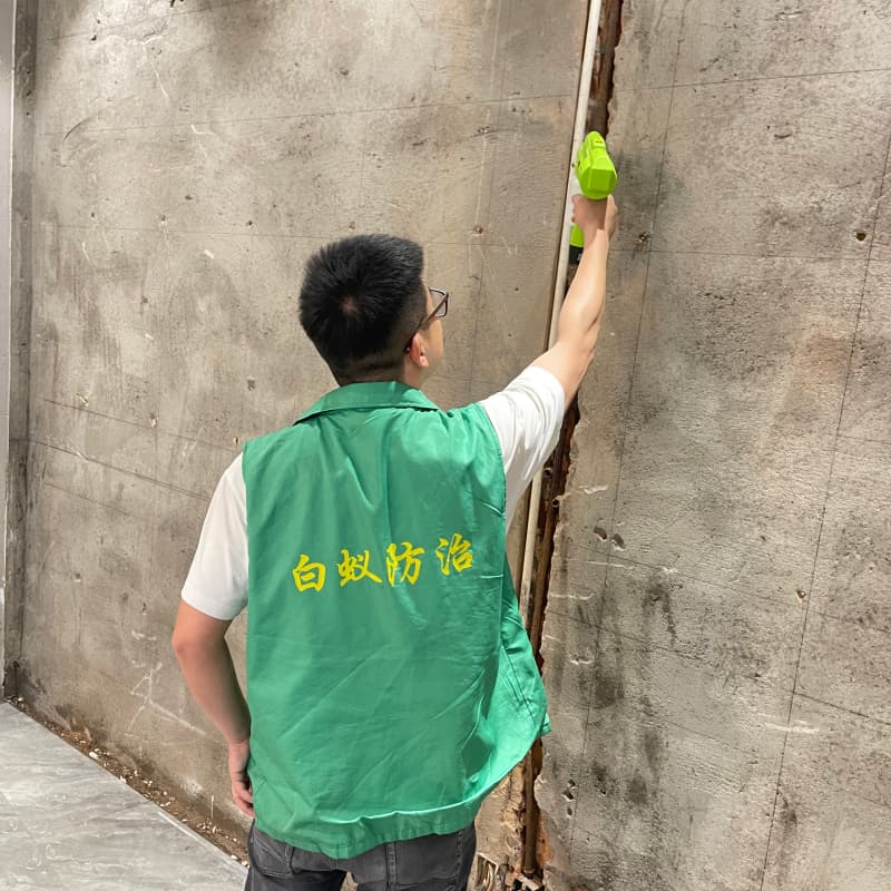 浙江白蚁防治专业团队