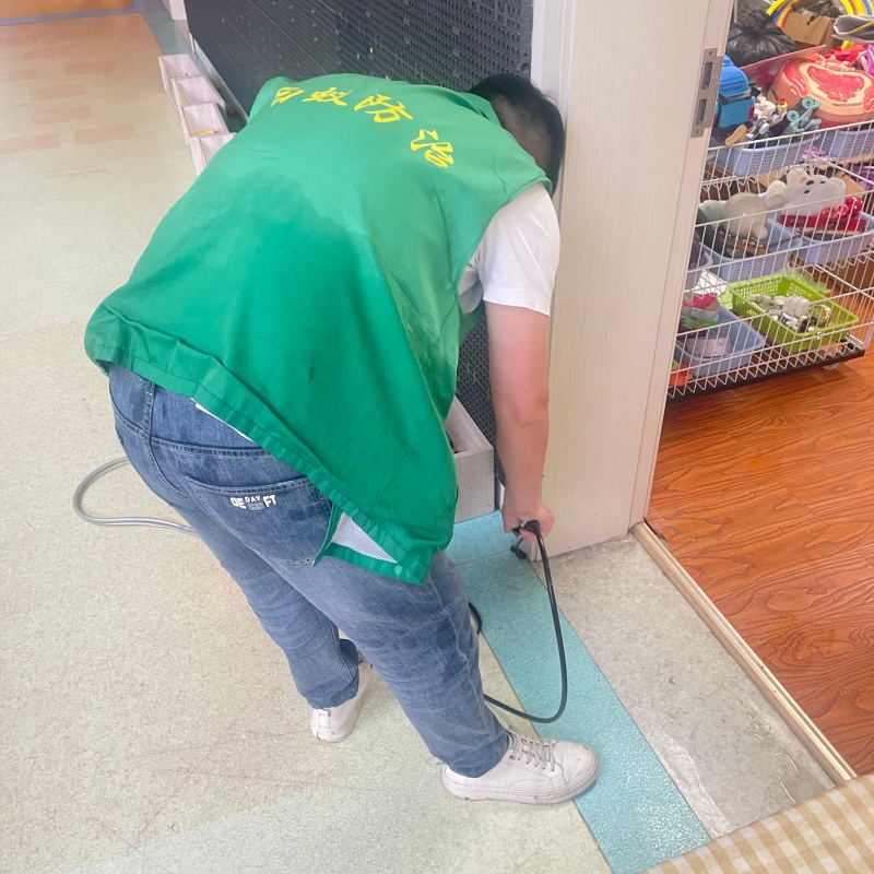 杭州市白蚁防治专业团队